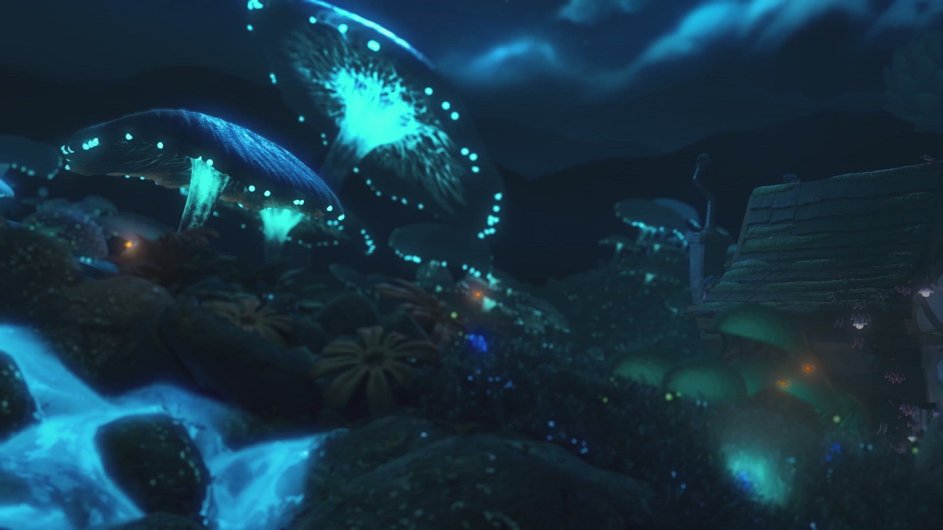 vivo X80 new product launch campaign