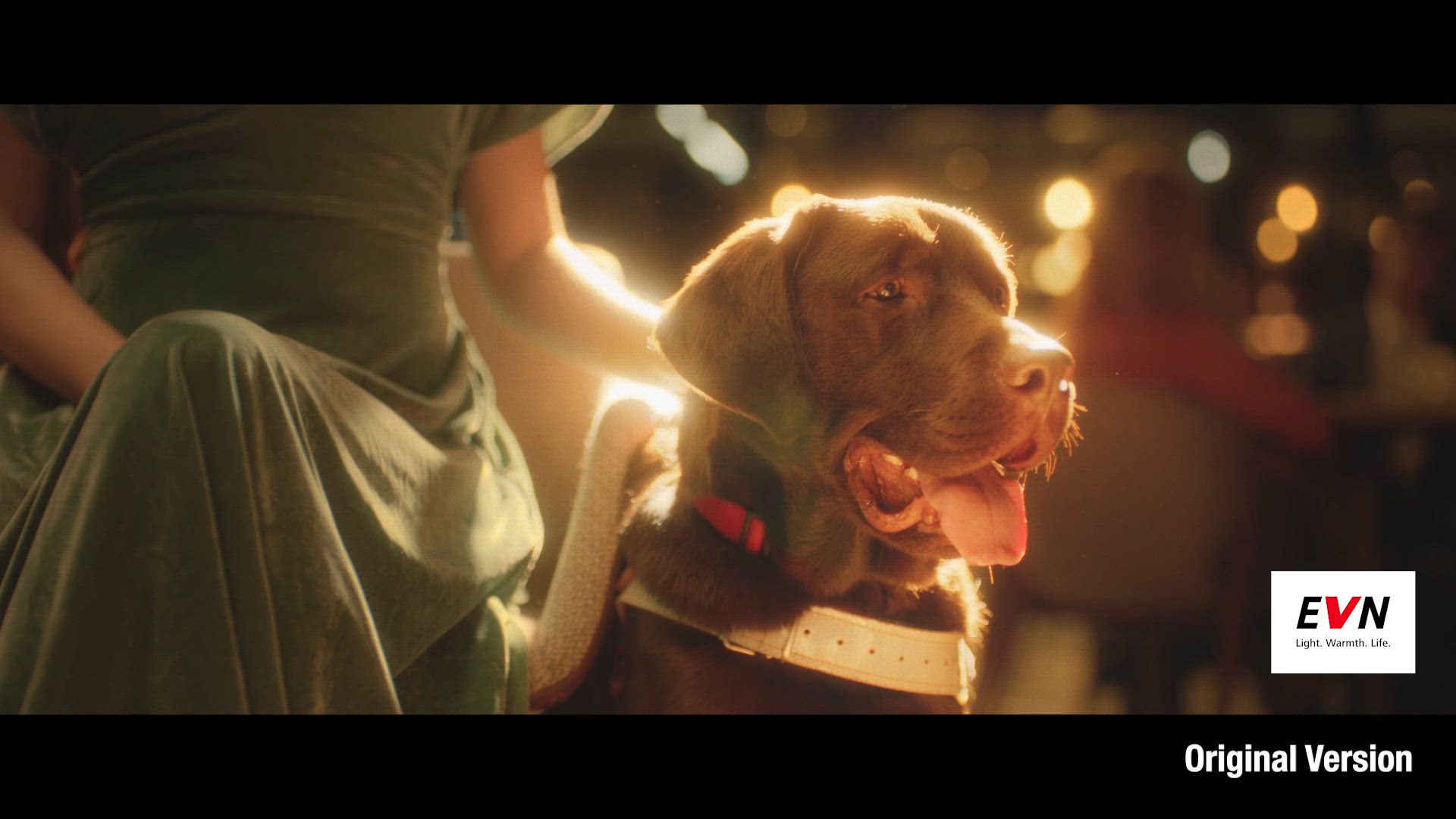 There friendships that bring light