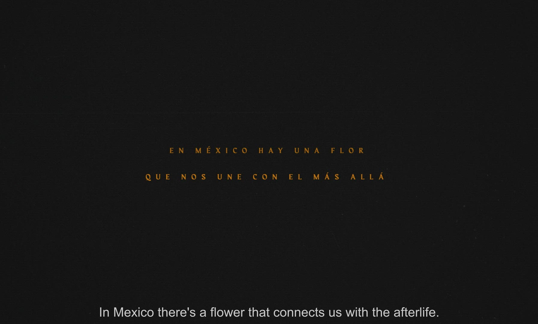 We are living offerings