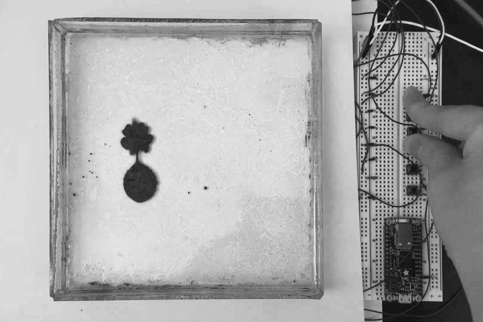 Ferrofluid Type