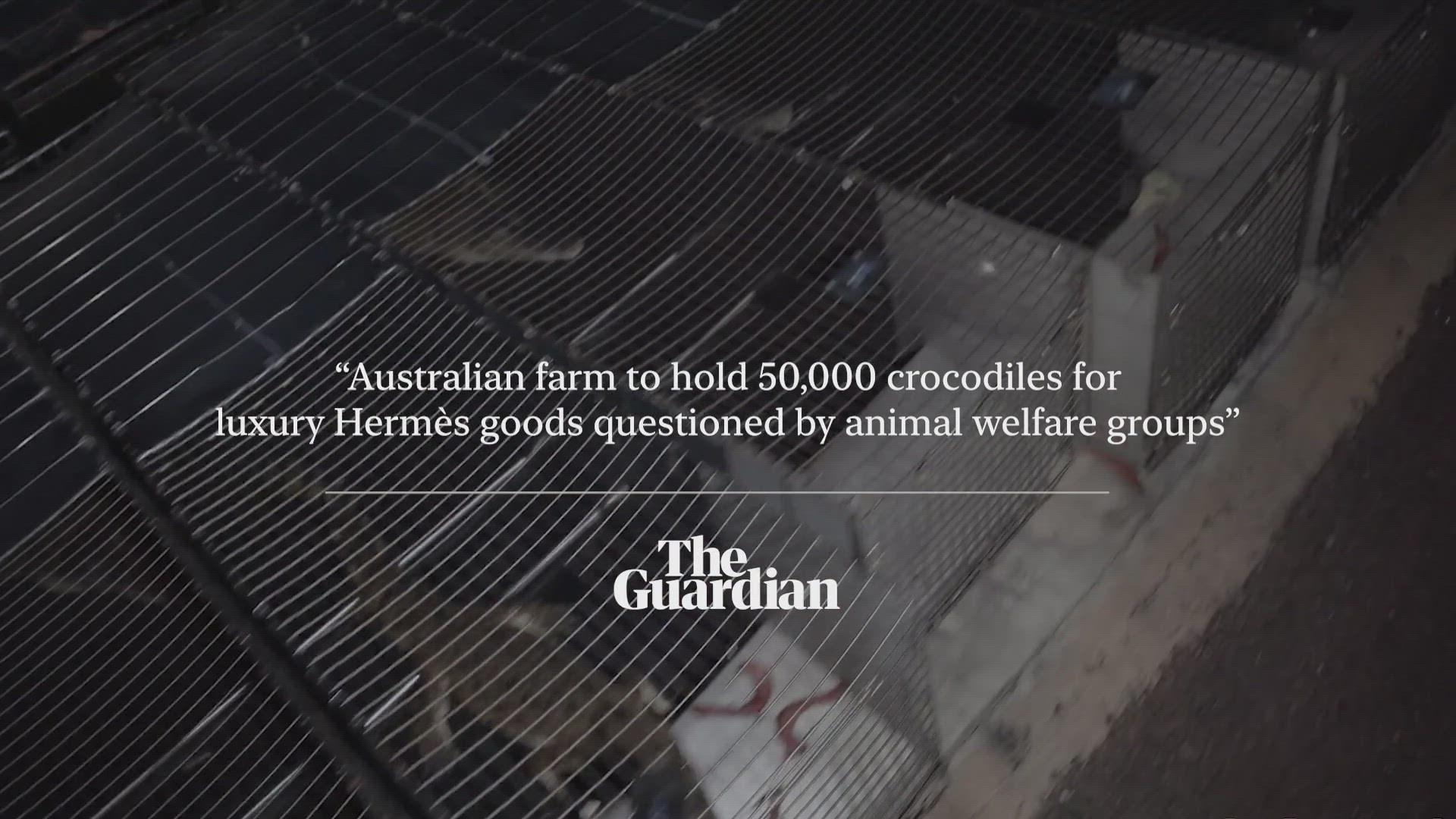 Make Killing Instagrammable