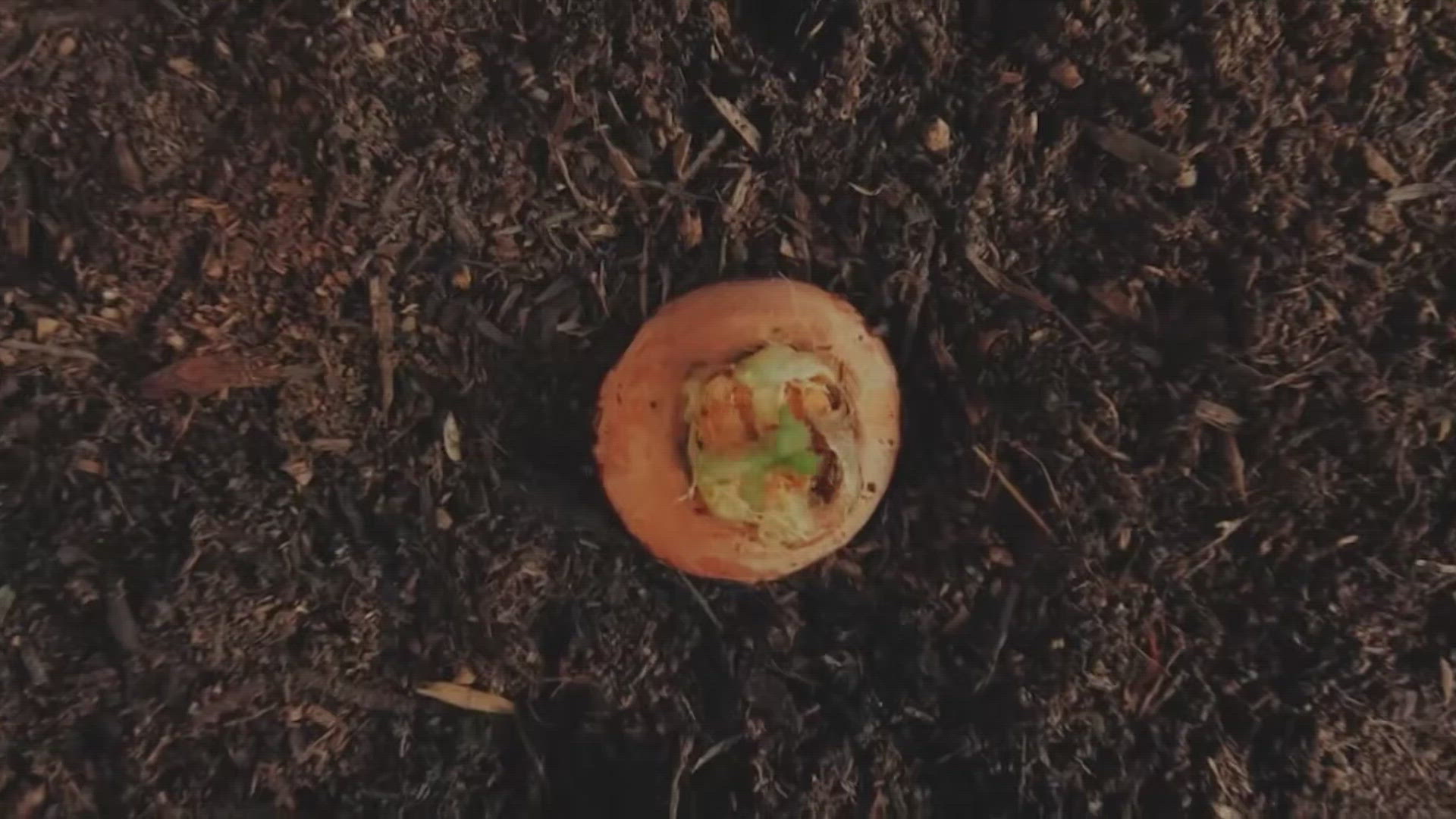 Whole Fooods Simulator