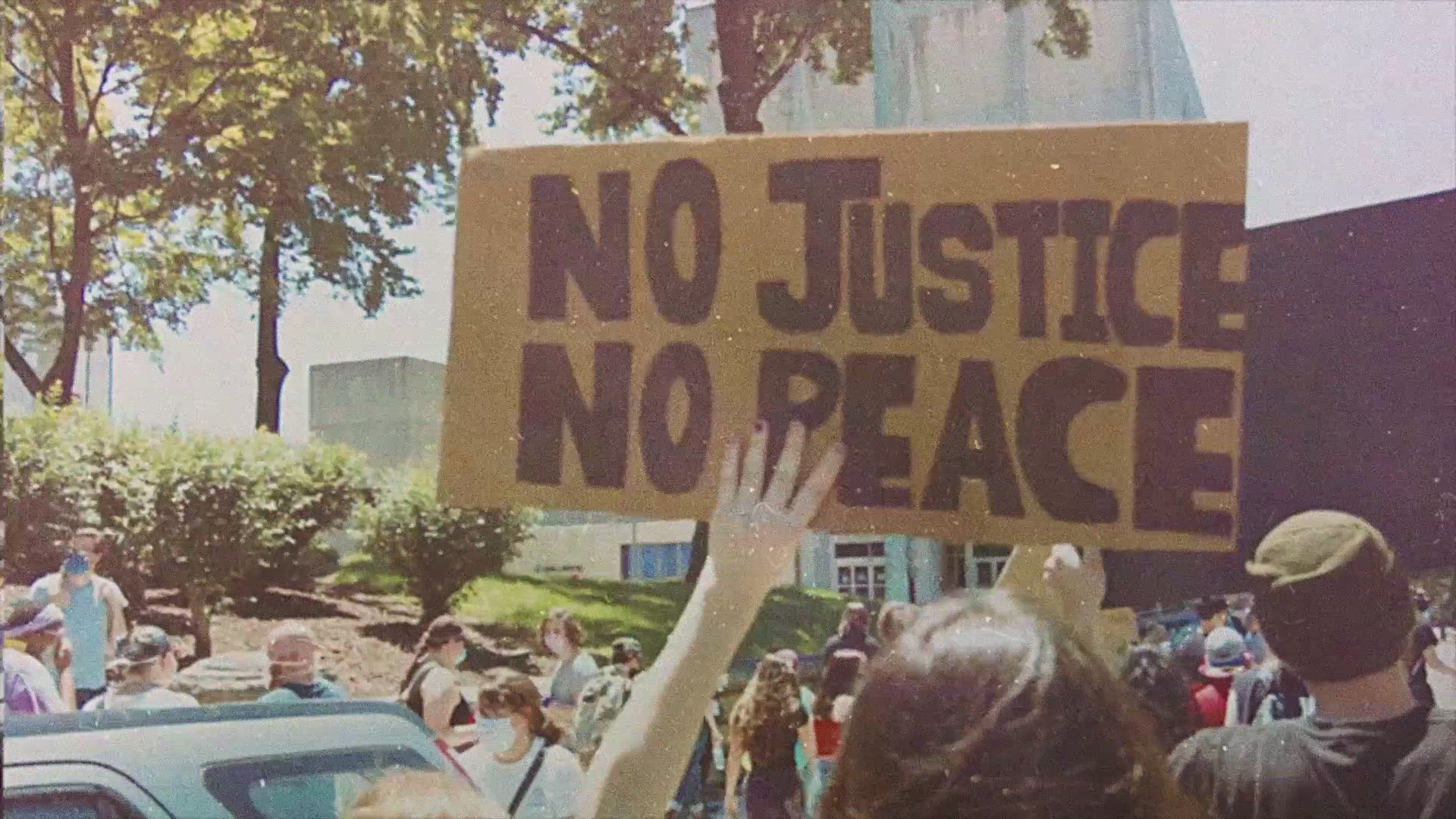 Spotify | Libraries of Love