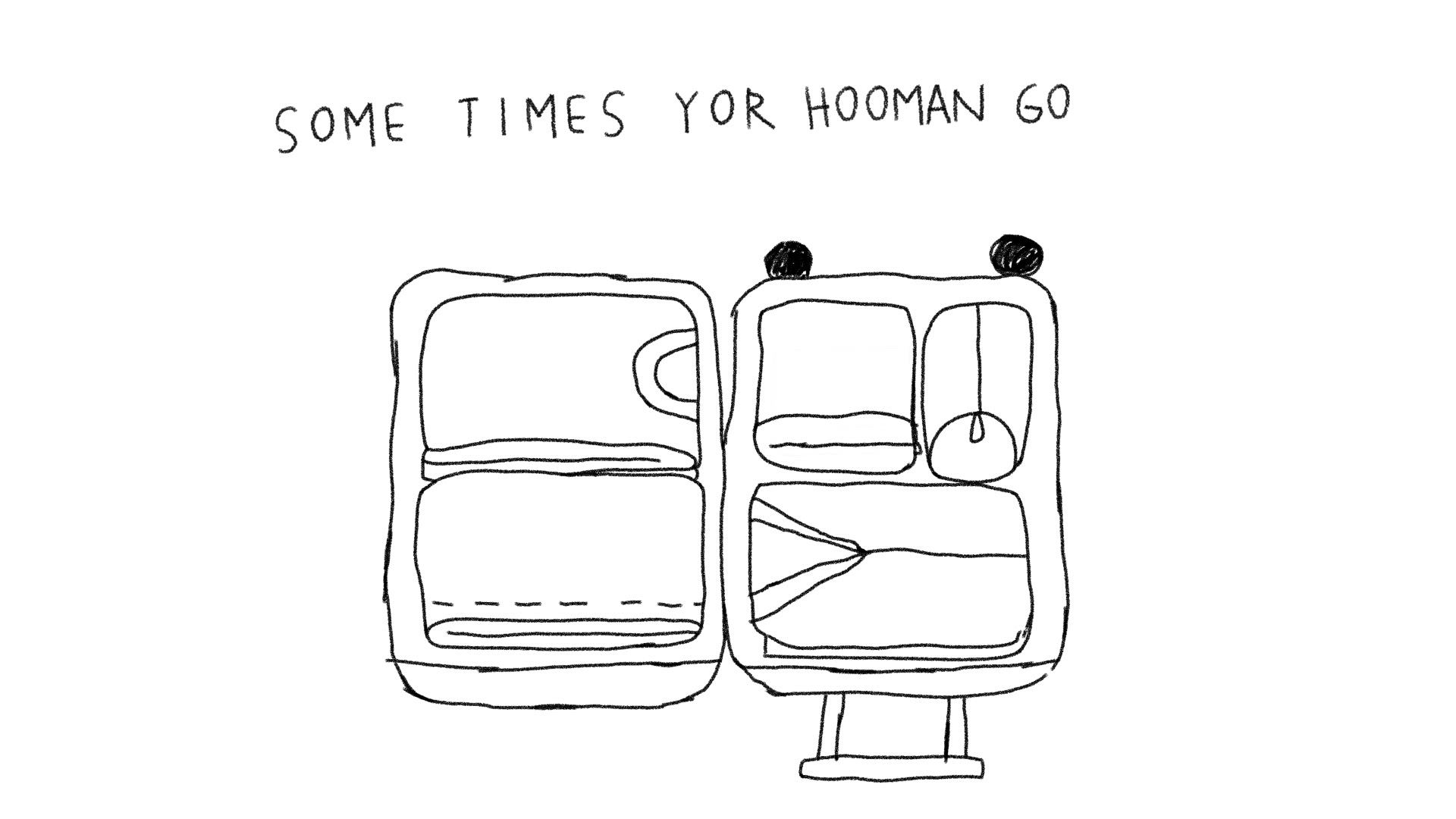 To My Hooman