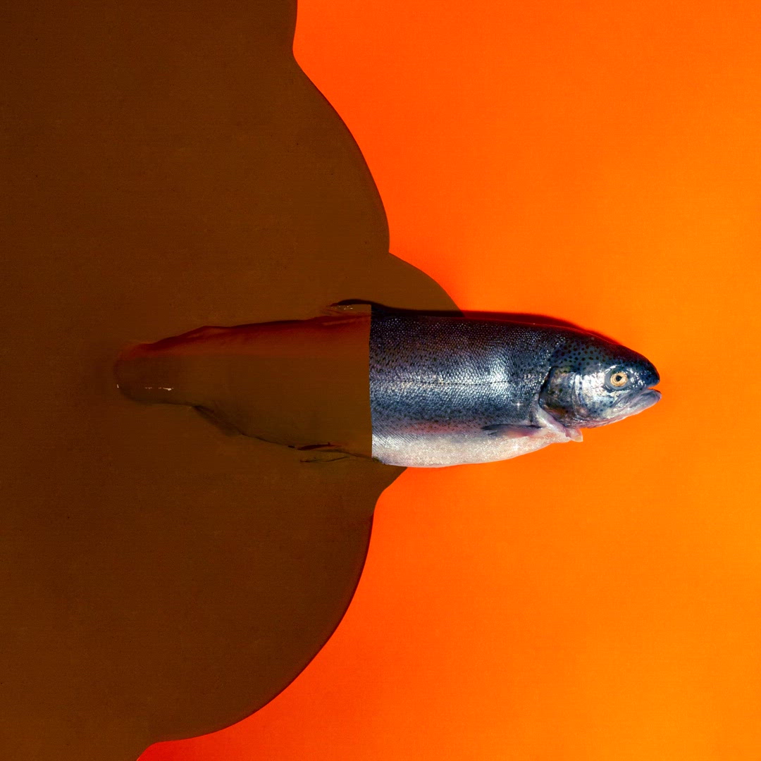 Chaos! Chaos! Chaos!