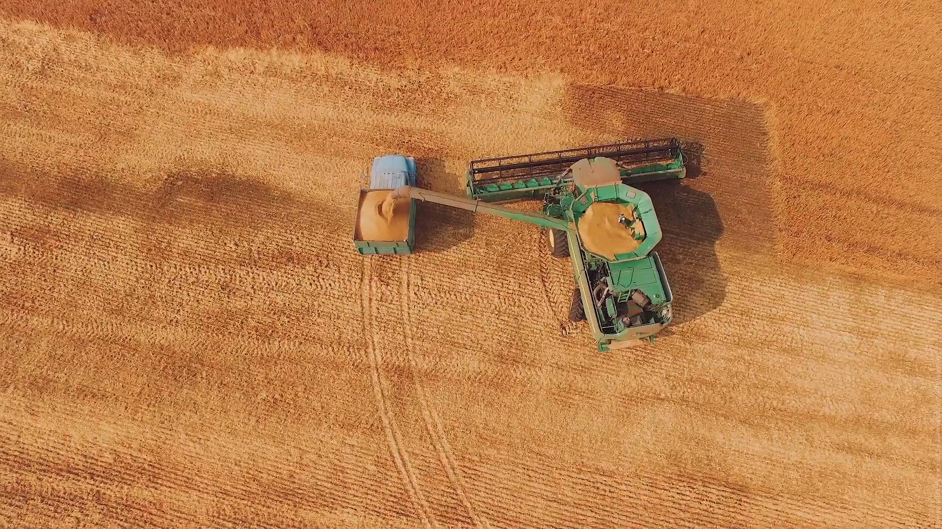 The Minefields Honey Project