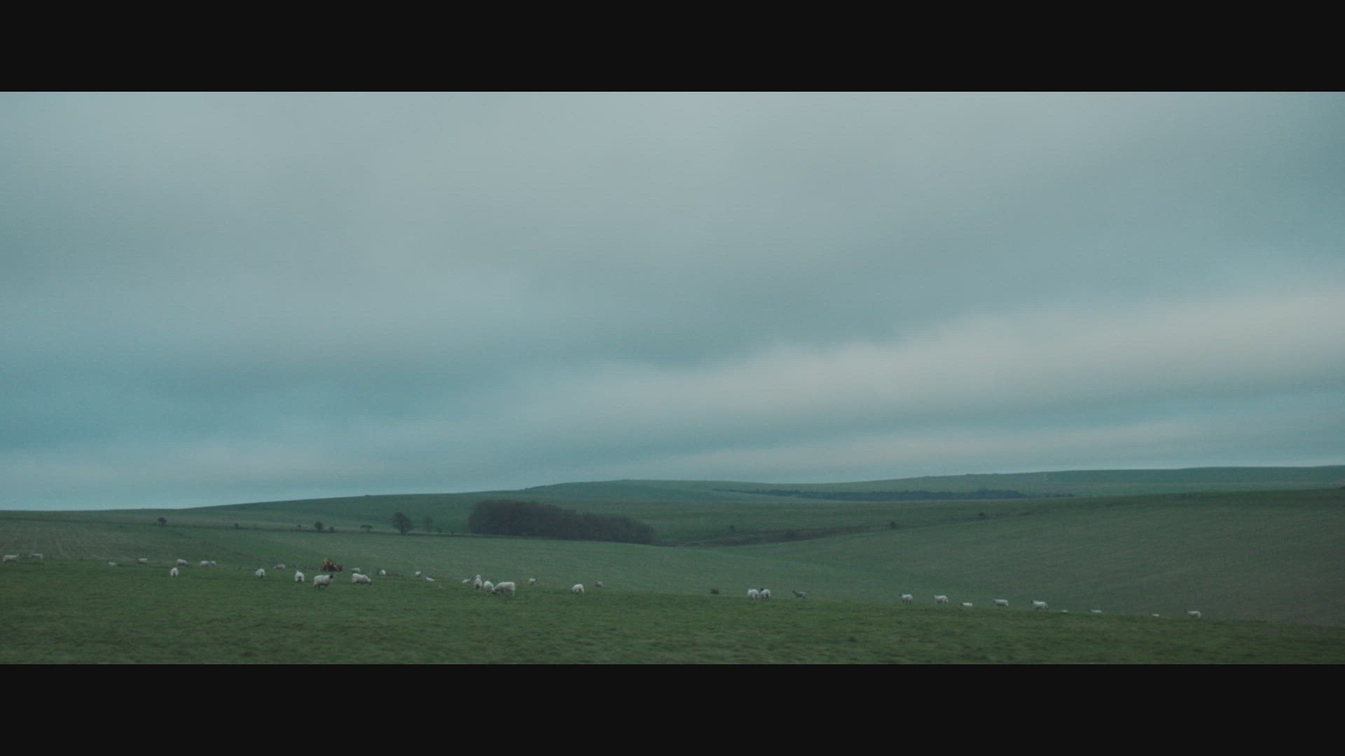 Working with Cancer Pledge