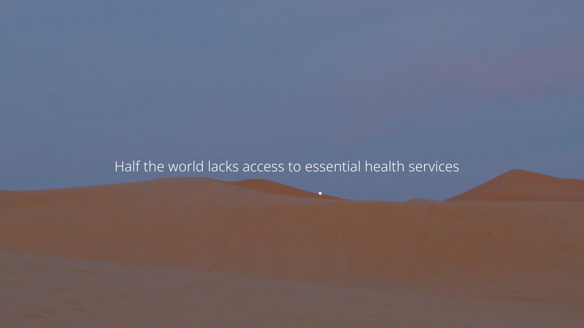 Dogs Without Borders