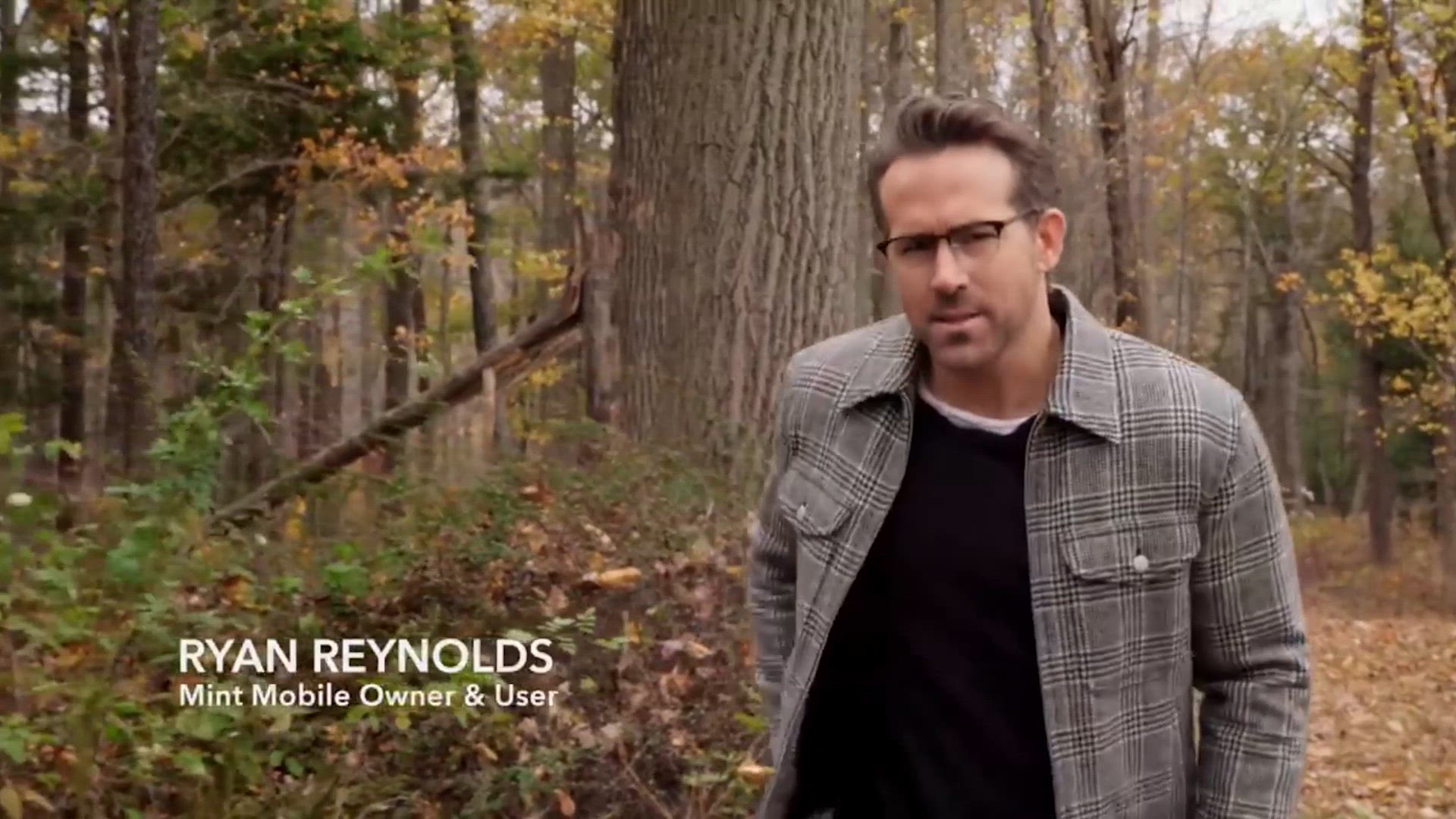 15 Minutes of Flavor