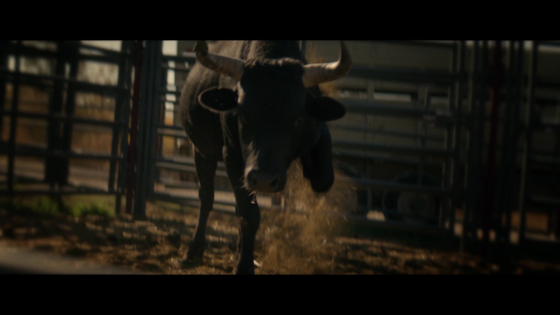 Casio: Don't Miss A Second