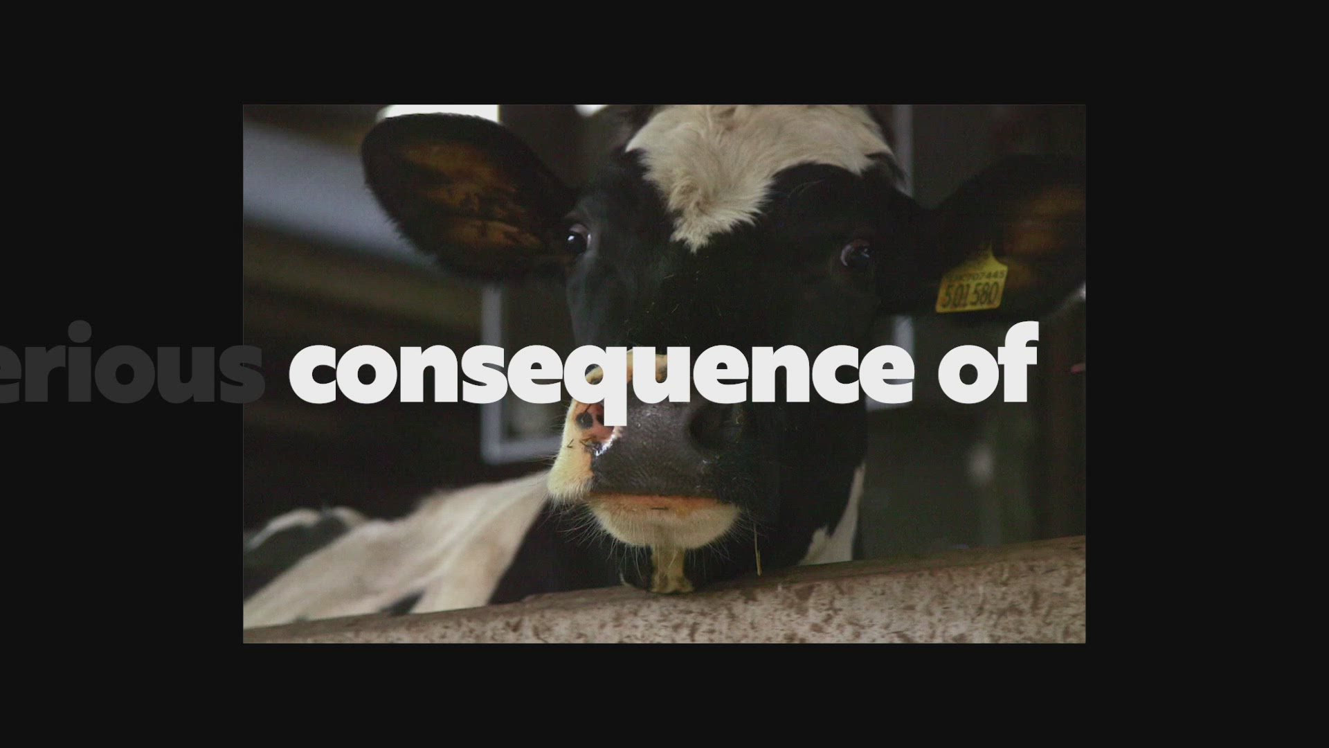 NotCo-Berry Not To Berry