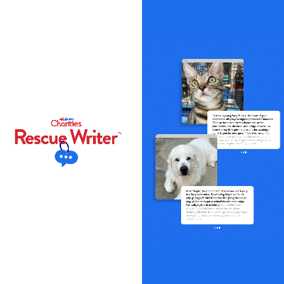 Rescue Writer