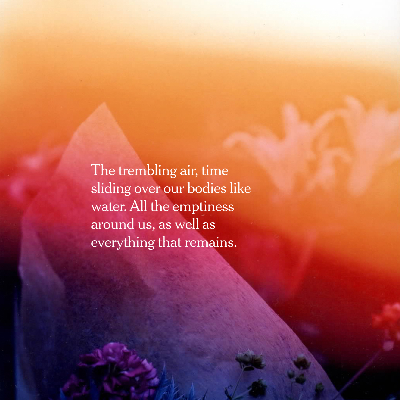 To Fall In Love With The World