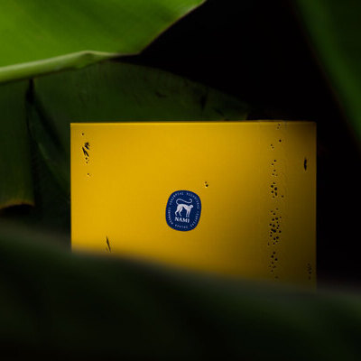 NAMI BANANA FARMING | BANANOSTAFIDO | The One Club