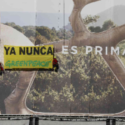 Ya nunca es primavera 