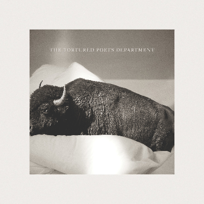 The Tortured Parks Department