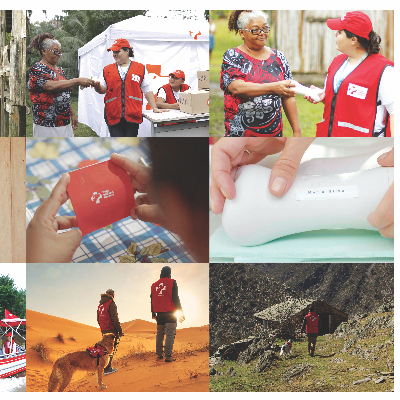 Dogs Without Borders