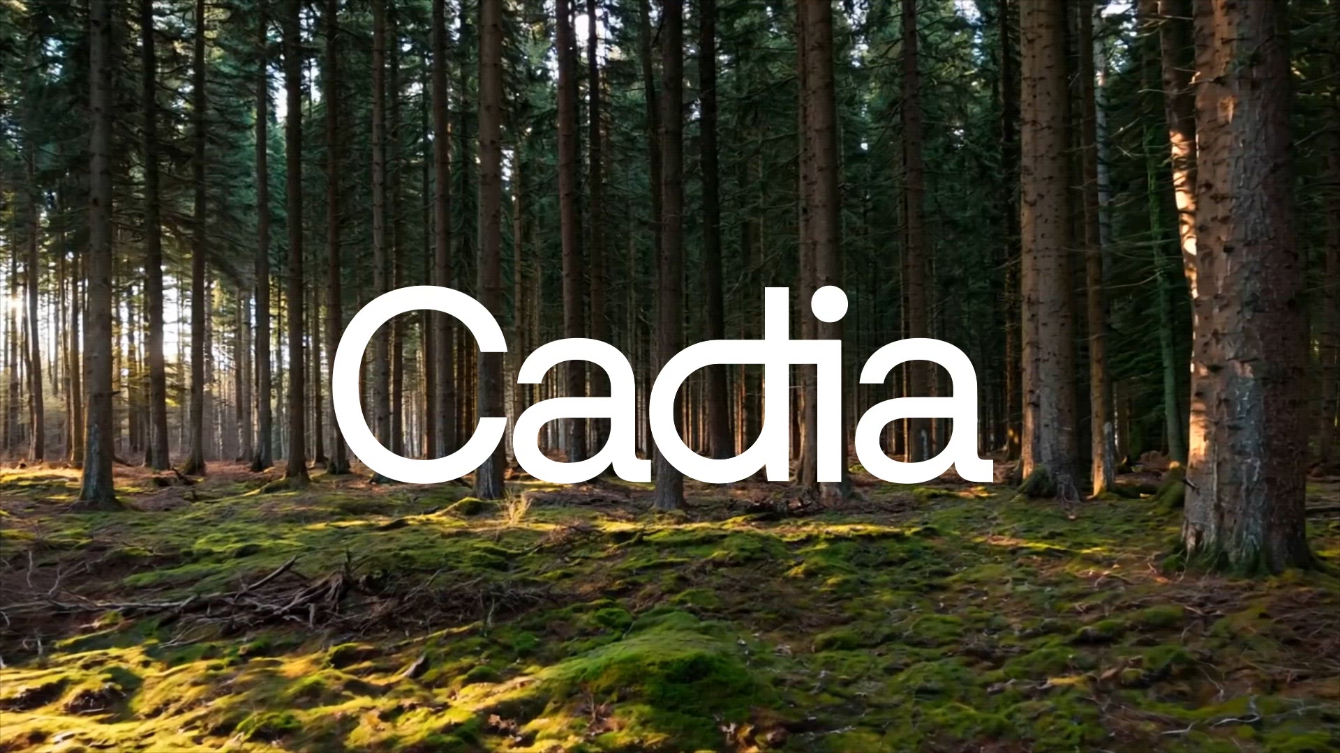 Cadia