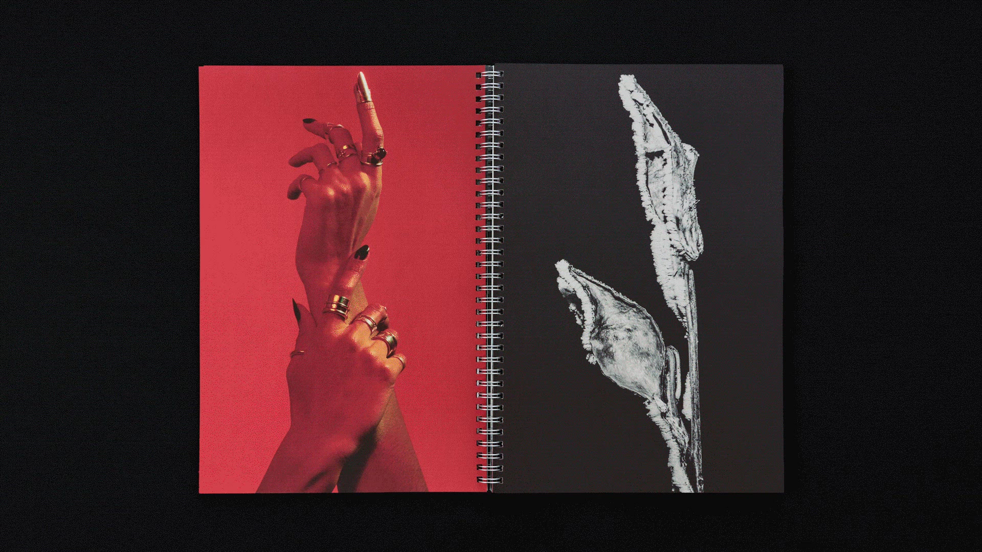 Shoot Studio Catalogue