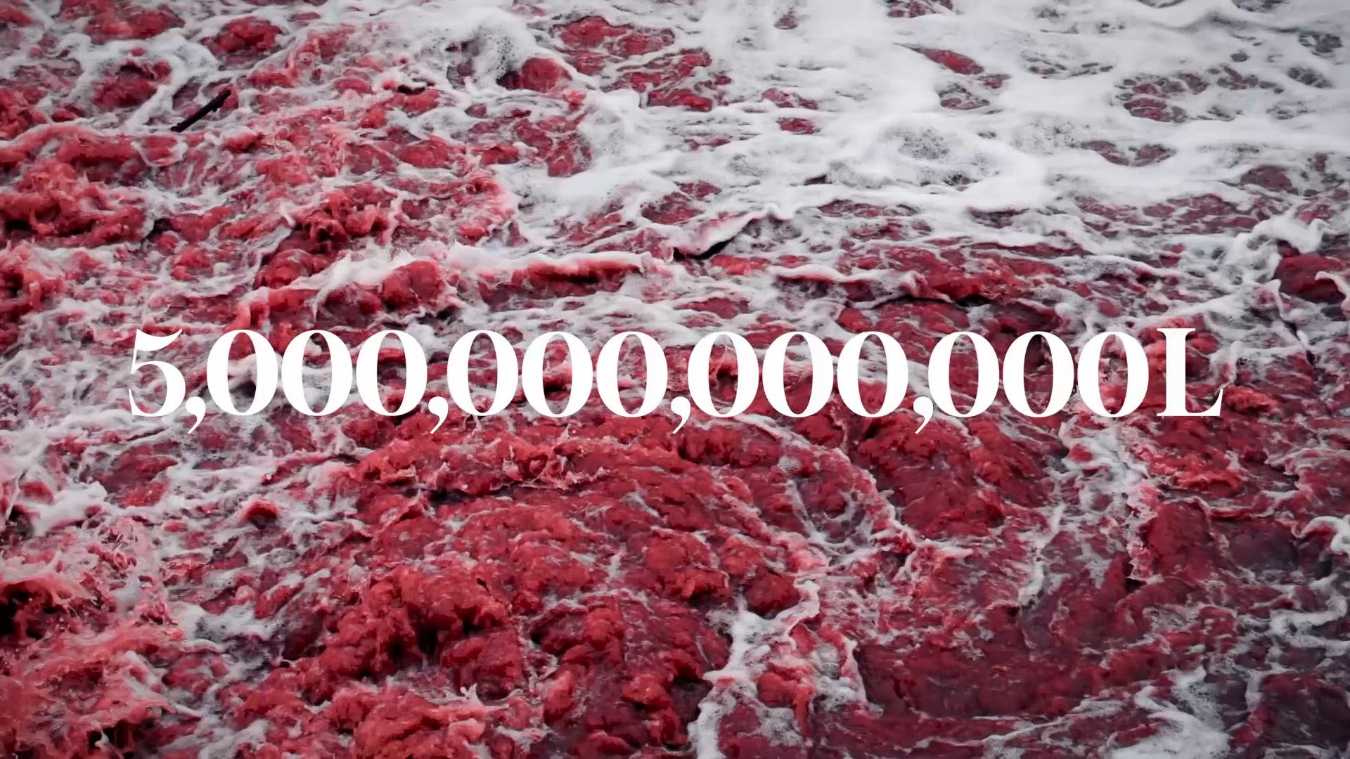 True Blue Textile Project