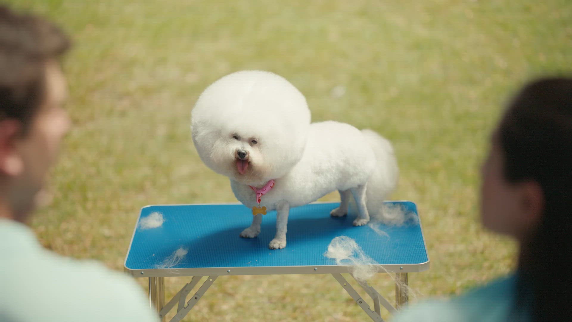 The Comments Section