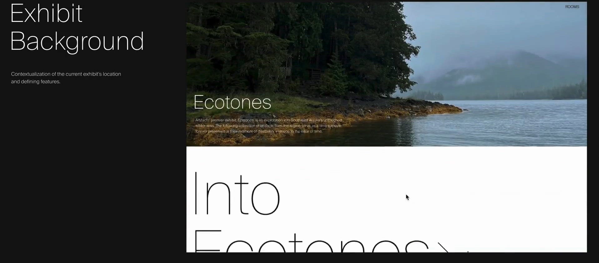 Artifacts: Museum Website