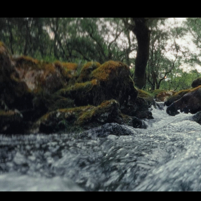 The Unwritten Recipe