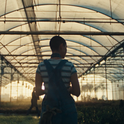 Est&aacute; a Contar