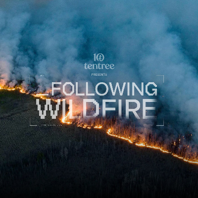 Following Wildfire