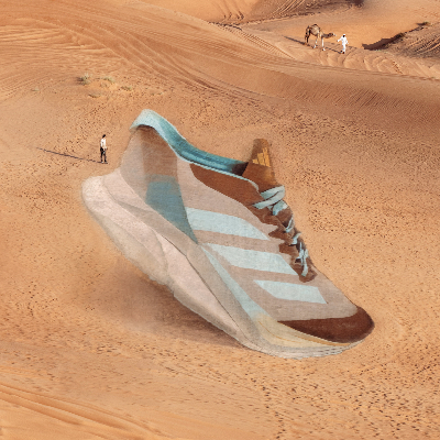 The Desert Runner