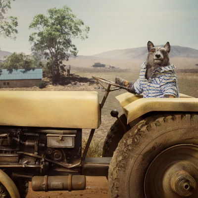 Better on a Better Mobile Network 