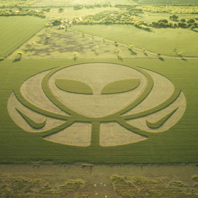 Wemby Crop Circle