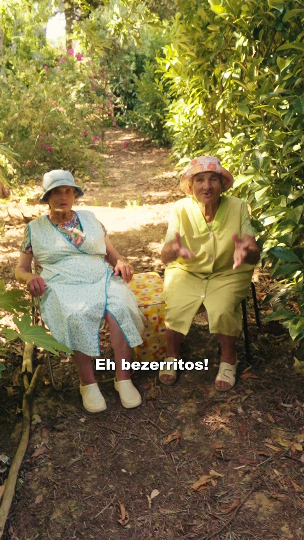 Avós do Verão
