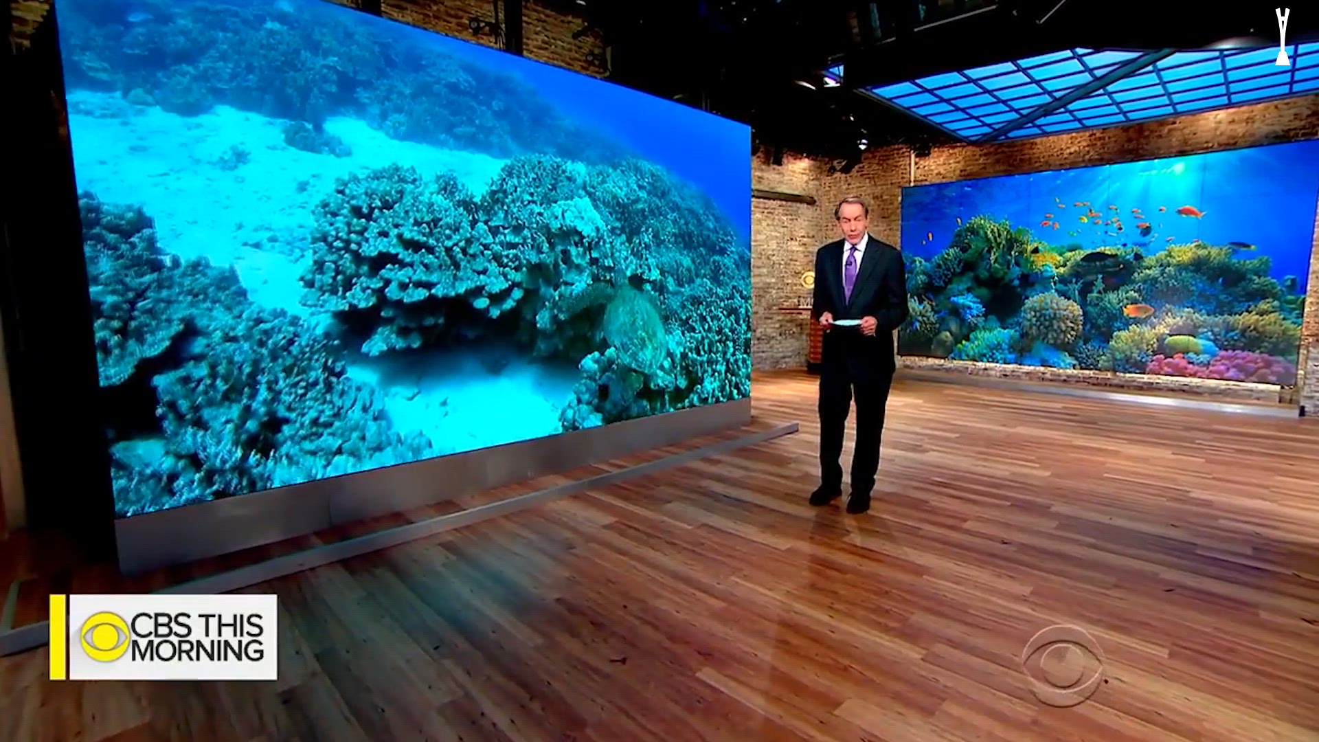 Reef Protection Factor