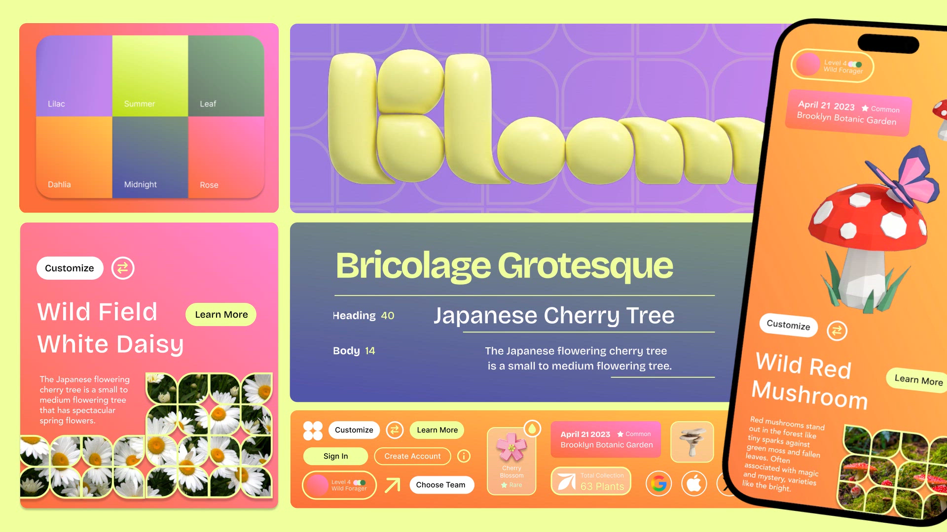 Bloom 