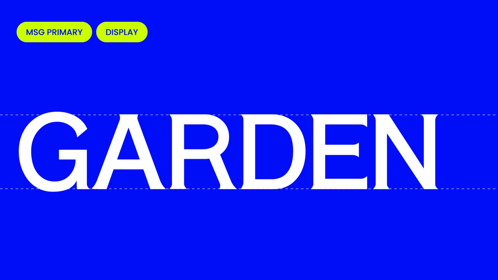 Built in Type: MSG