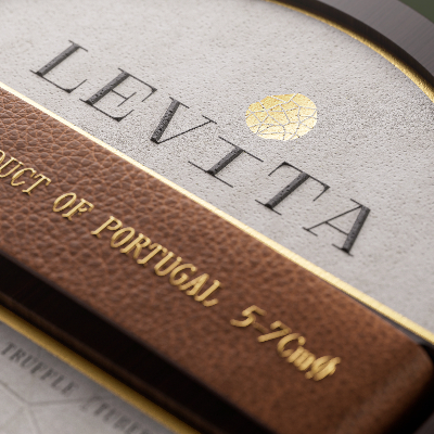 Levita
