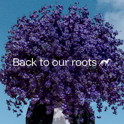 Back to our Roots