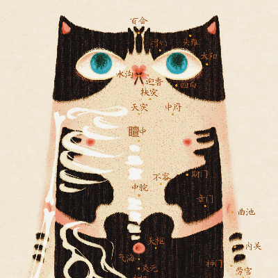 Acupressure Points Diagram