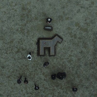 Mustang: Some Horses Evolve
