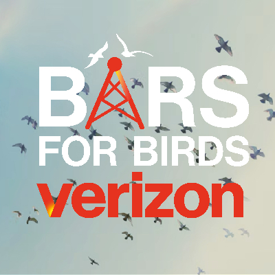 Bars For Birds