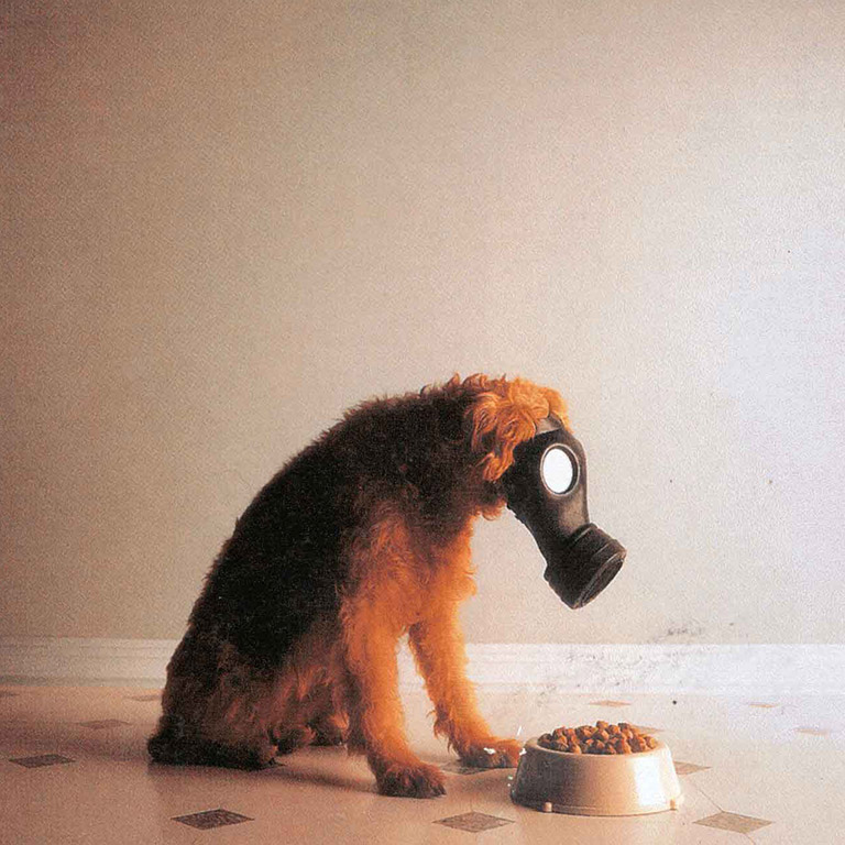 Ralston Purina/Nature's Course