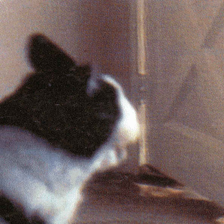 Cub Foods/Supermarkets