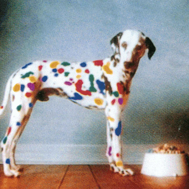 Ralston Purina/Nature's Course