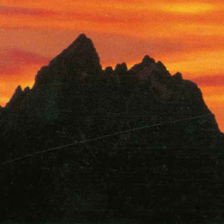 The Timberland Company