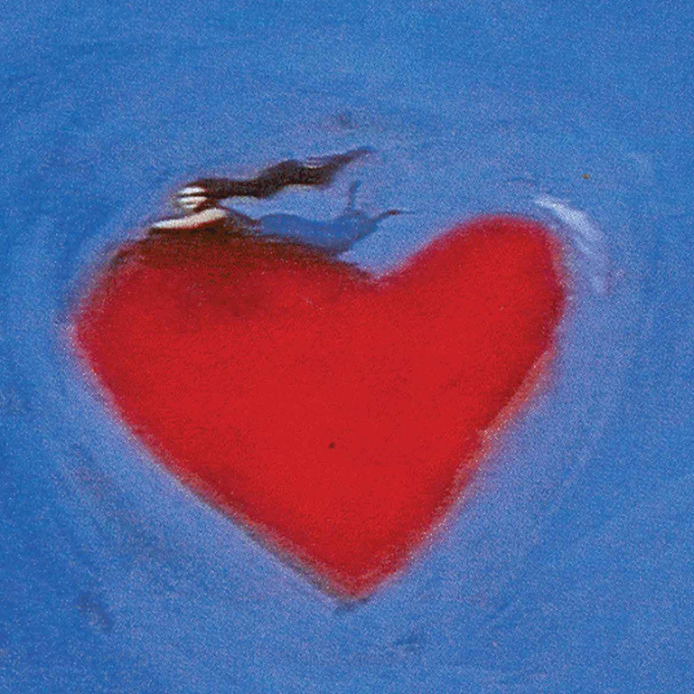 Levi Strauss & Company