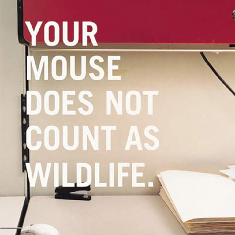 Mouse, Exit Sign, Interior Decorators