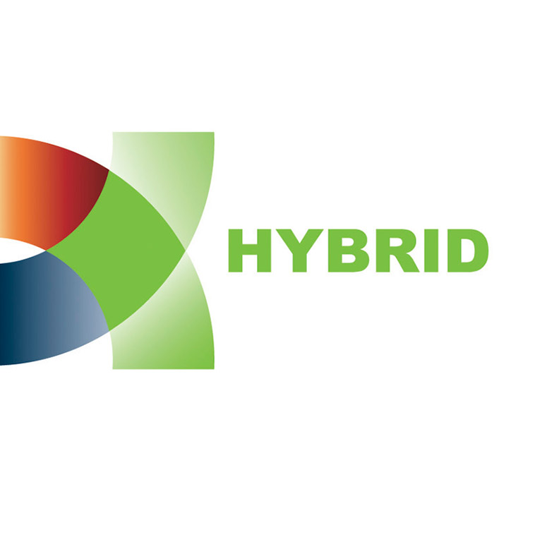 Boriana_hybrid_logo
