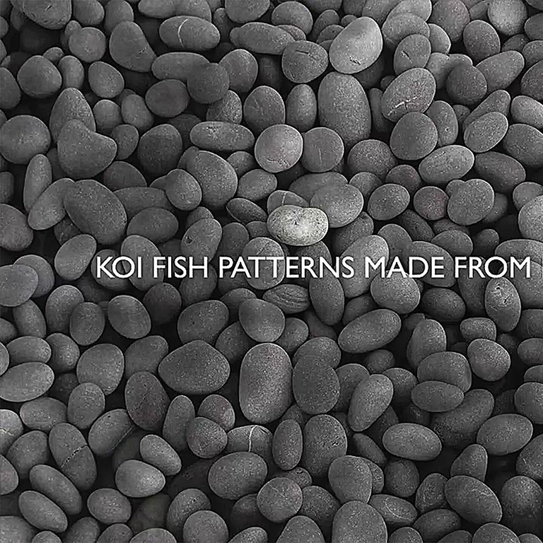 Koi Fish Feed Invite