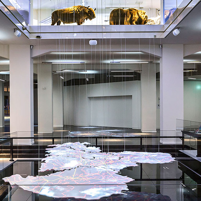 Time-dynamic Model of Saxony